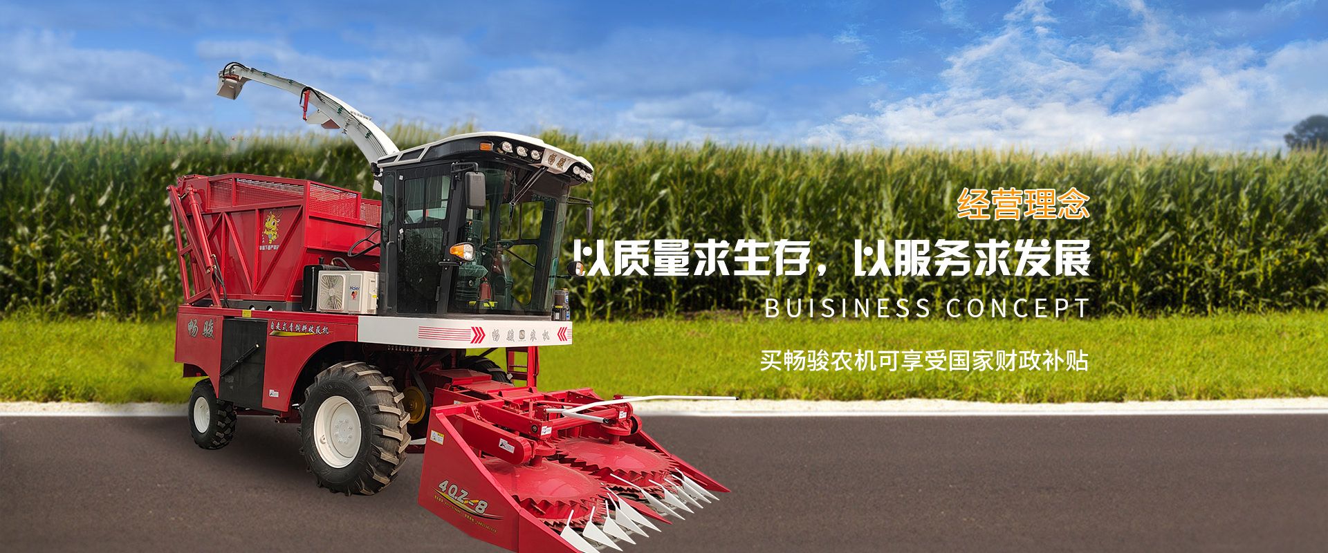499吉彩